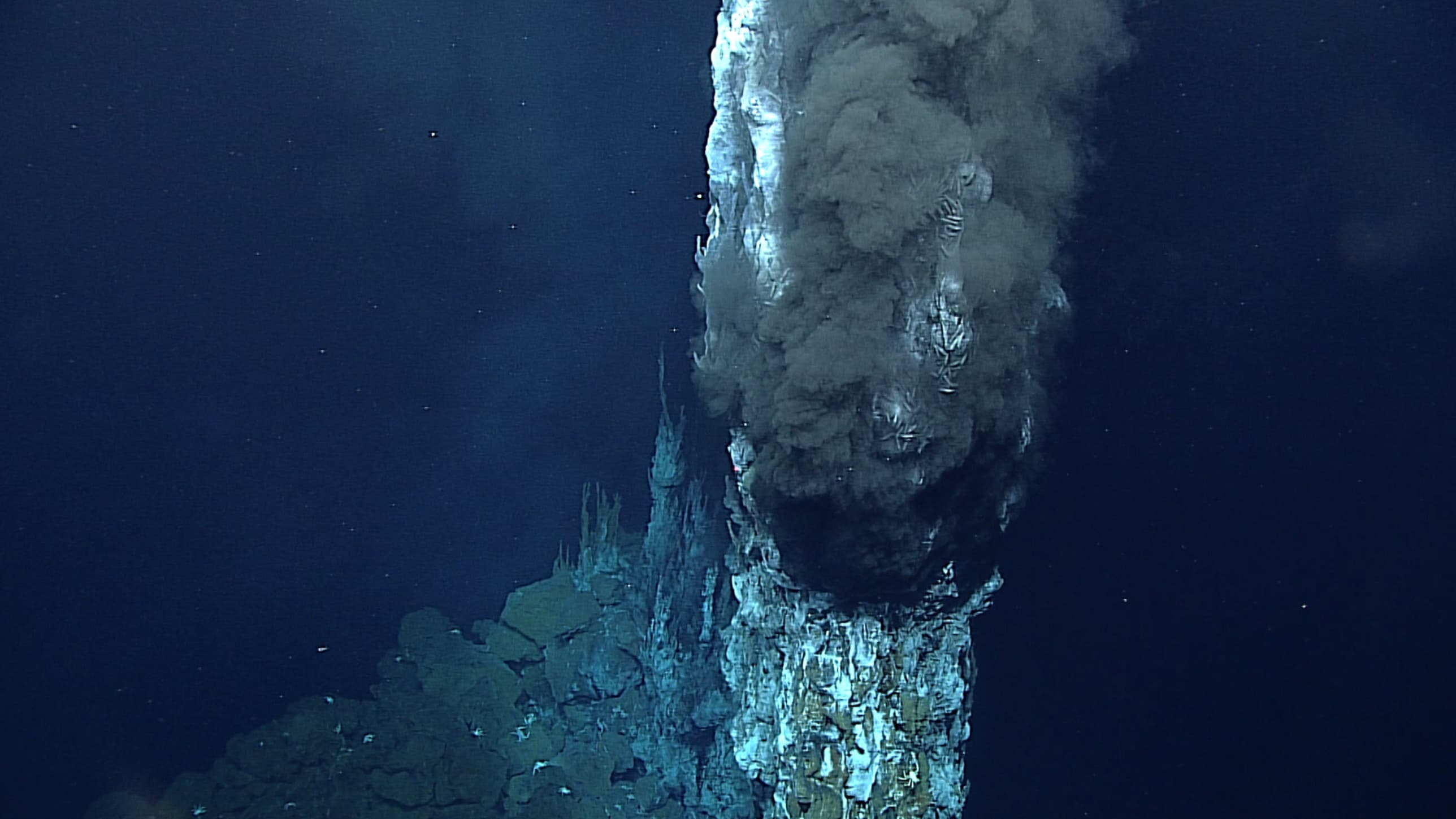 Hydrothermal vents in the Mariana Trench expels water that’s roughly 700 degrees Fahrenheit. 